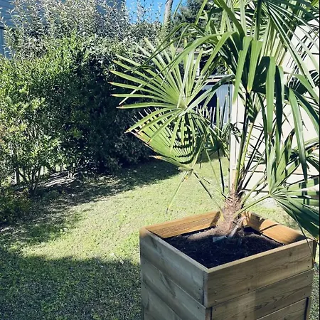 Bois Marin Holiday home Saint-Palais-sur-Mer